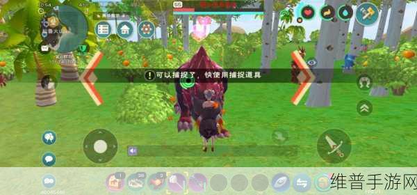 创造与魔法，红蜥蜴饲料的完美配方指南