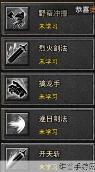 传奇战士鉴定属性的绝佳选择指南