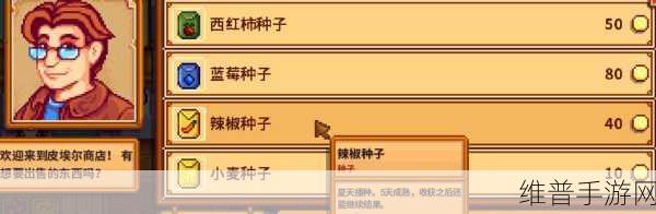 星露谷物语小镇钥匙获取秘籍大揭秘