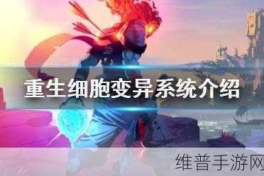 重生细胞人物回血秘籍大公开