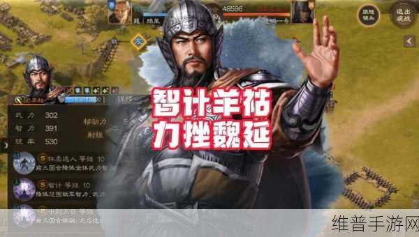 三国志战棋版羊祜配队秘籍,打造无敌战队