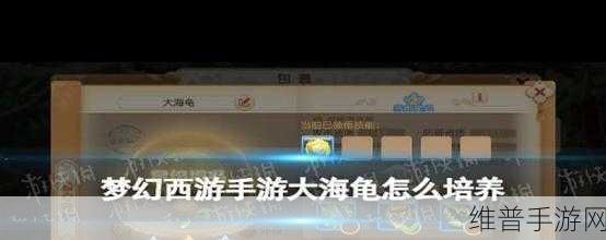 梦幻西游手游，勇夺 5 星的全方位攻略秘籍