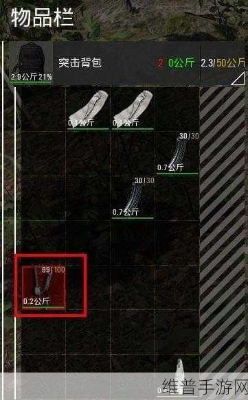 人渣 SCUM 火堆生火秘籍，详细图文教程指南