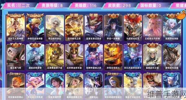 王者荣耀，攻略与秘诀的深度剖析及卓越运用