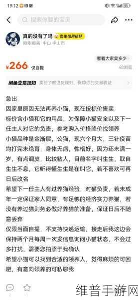 小森生活猫咪领养秘籍大公开