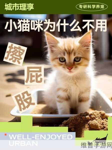 小猫咪大城市解锁找到狗狗的球成就秘籍