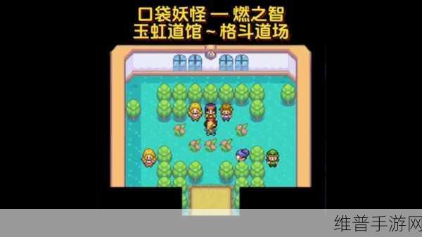口袋妖怪金银通关后的精彩探索