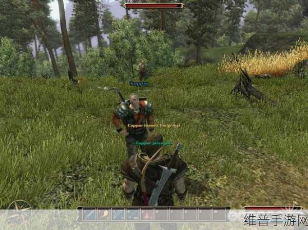 龙歌黑暗之眼秘籍全解析，畅玩手游无阻碍