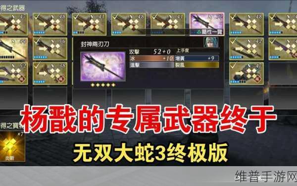 无双大蛇 3 高攻击武器速刷秘籍大揭秘