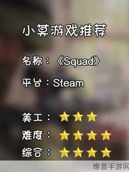 战术小队中文语言设置全攻略