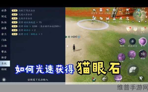 天涯明月刀光速满级秘籍大公开