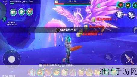 创造与魔法，探秘飞鸟饲料的制作秘诀