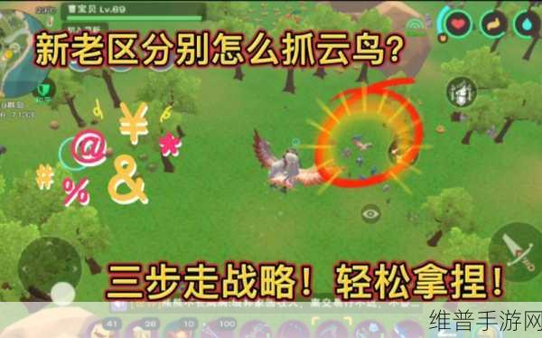 创造与魔法，探秘飞鸟饲料的制作秘诀