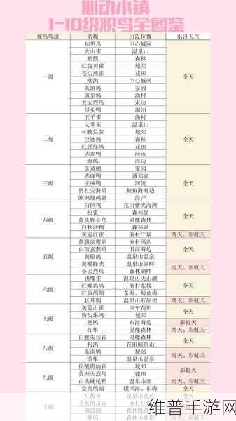 心动小镇观鸟爱好全解锁秘籍