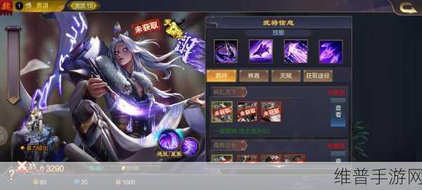 无双大蛇 3 贾诩，智谋无双的乱世毒士