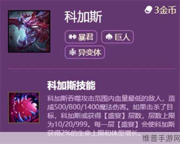 2024 手游中单大虫子出装秘籍