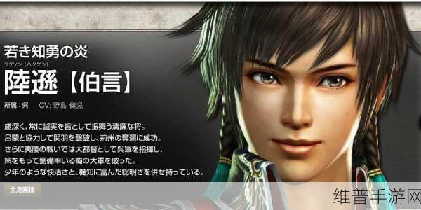 无双大蛇 3 陆逊，智勇双全的东吴名将