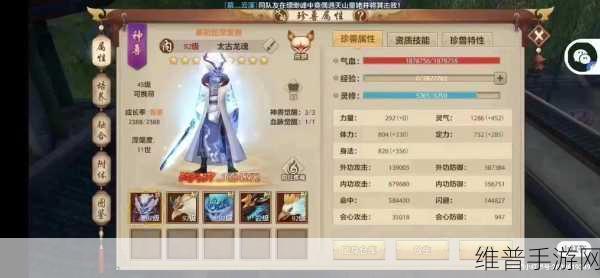 天龙八部手游，轻松掌握附件人显示技巧