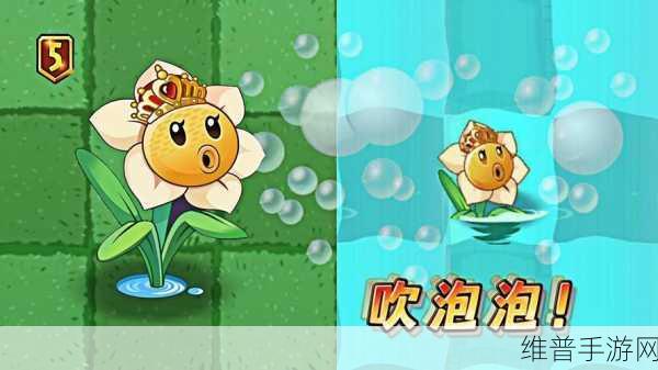 植物大战僵尸 2小黄鸭游泳圈的神奇功效