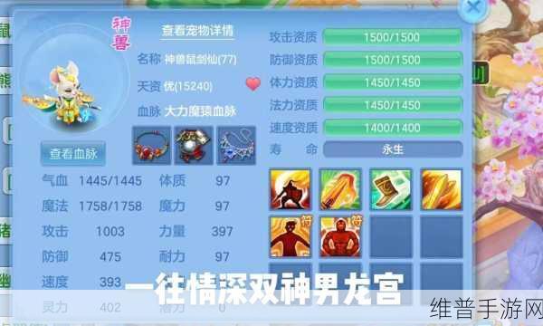 神武四龙宫玩法全方位深度解析