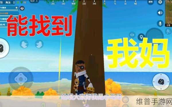 香肠派对躲猫猫秘籍，探寻最佳躲藏点