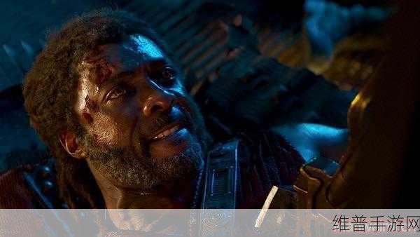 海姆达尔,探寻神秘世界的必备指南