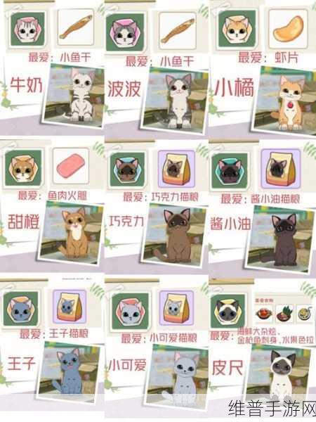 小森生活猫粮制作秘籍，满足猫咪的味蕾
