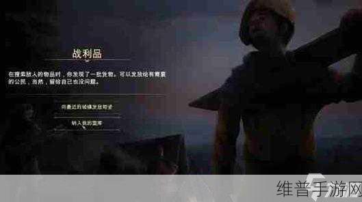 畅玩庄园领主，服装制作秘籍大公开