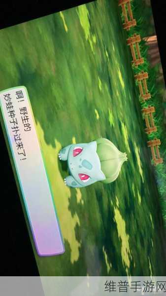 精灵宝可梦 LetsGo 皮卡丘伊布版购买全攻略