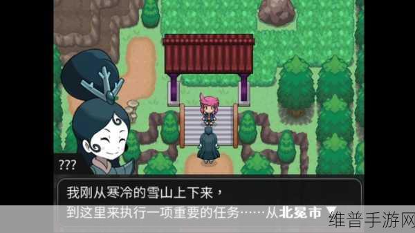 口袋妖怪黑白 2 冠军之路通关秘籍大揭秘