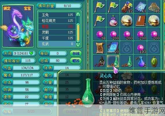 神武玄武全方位攻略指南