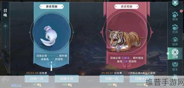 庄园领主手游，自定义旗帜纹理设置全攻略