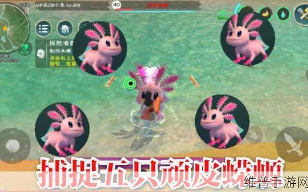 创造与魔法蝾螈饲料保底全解析