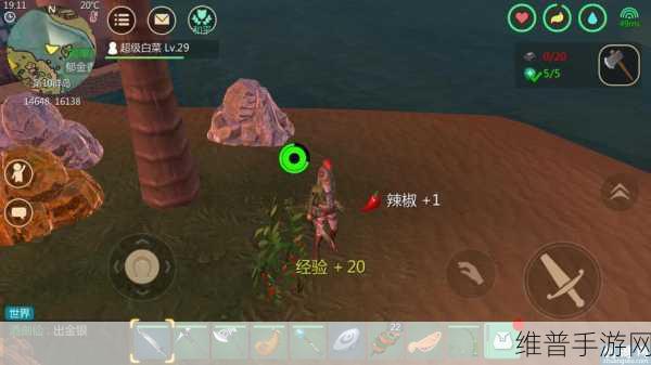 创造与魔法，轻松驯服灰马的秘诀大公开