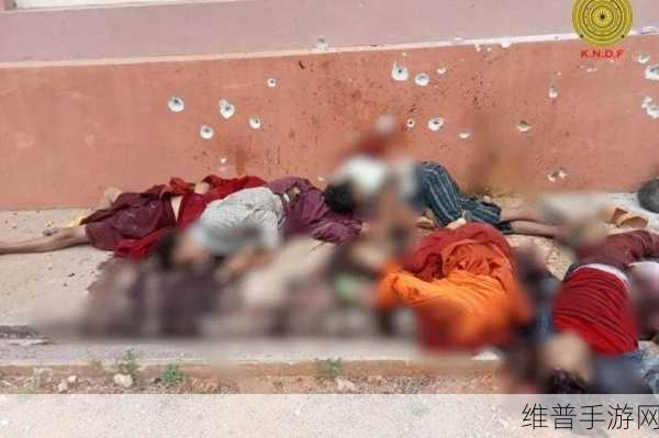 缅北血腥网站软件：暗夜生存：边境危机【专题】