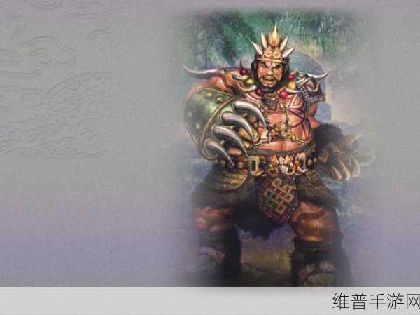 无双大蛇 3 孟获全解析，背景与实力探秘