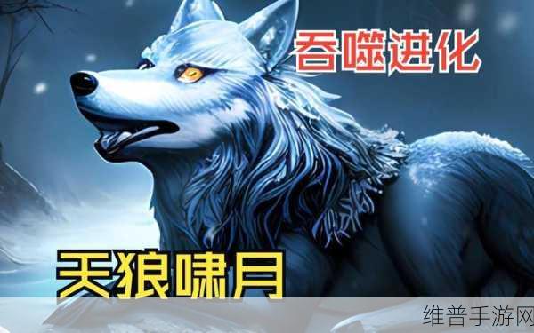 天狼网：天狼冒险【专题】