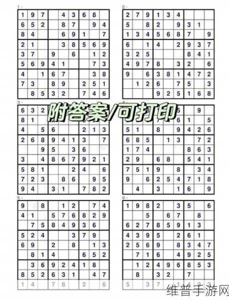 数独九宫对决游戏下载，解锁智慧挑战，尽享数独乐趣