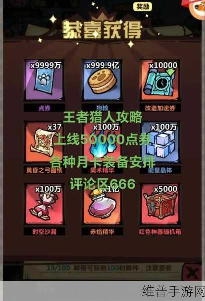 王者猎人主 C 全方位深度评价与解析