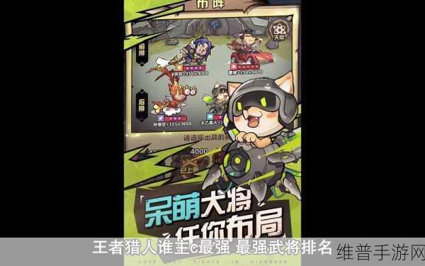 王者猎人主 C 全方位深度评价与解析