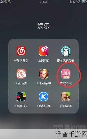哔哩污染版入口在哪里:哔哩APP污染版下载教程【专题】