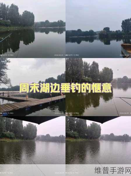 沉浸式钓鱼体验,我要钓鱼游戏下载全攻略