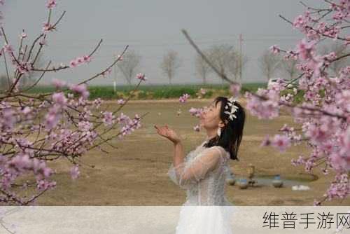 樱花飞舞的季节里，邂逅浪漫——樱花飞舞的季节里我爱上了你汉化版深度攻略