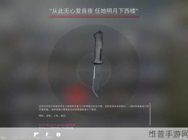 老婆不在家一个人寂寞CSGO文案：深夜一人，开黑吃鸡【专题】