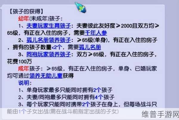 梦幻西游手游养娃秘籍,全方位攻略指南