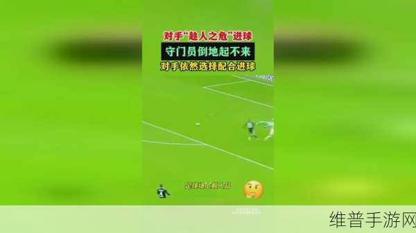 忍者耐力训练：忍者修炼大师【专题】