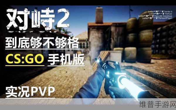 对峙2正版安装下载，探索可玩性极高的3D第一人称射击手游世界