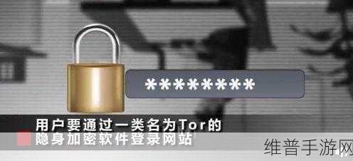 暗网吃瓜黑51:暗影探秘:网络谜案51【专题】