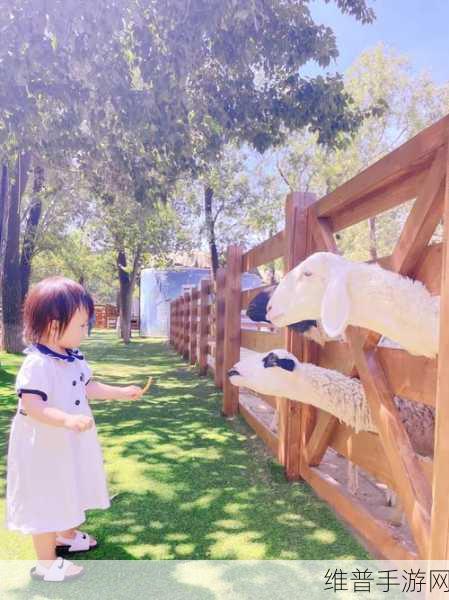 男生的坤坤放入女生的坤坤里：欢乐配对：萌宠乐园大冒险【专题】