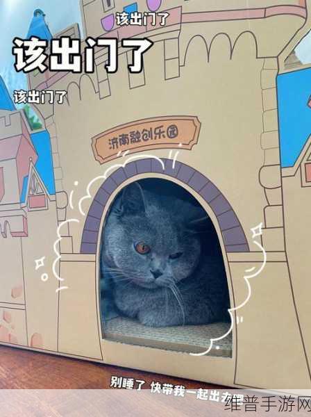 探秘旅猫海底城堡乐园，正版下载与深度模拟养成攻略